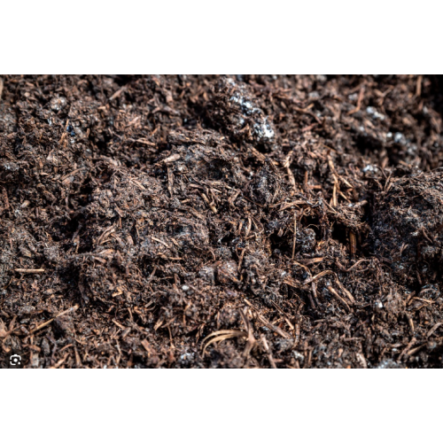 Dry Chicken Manure