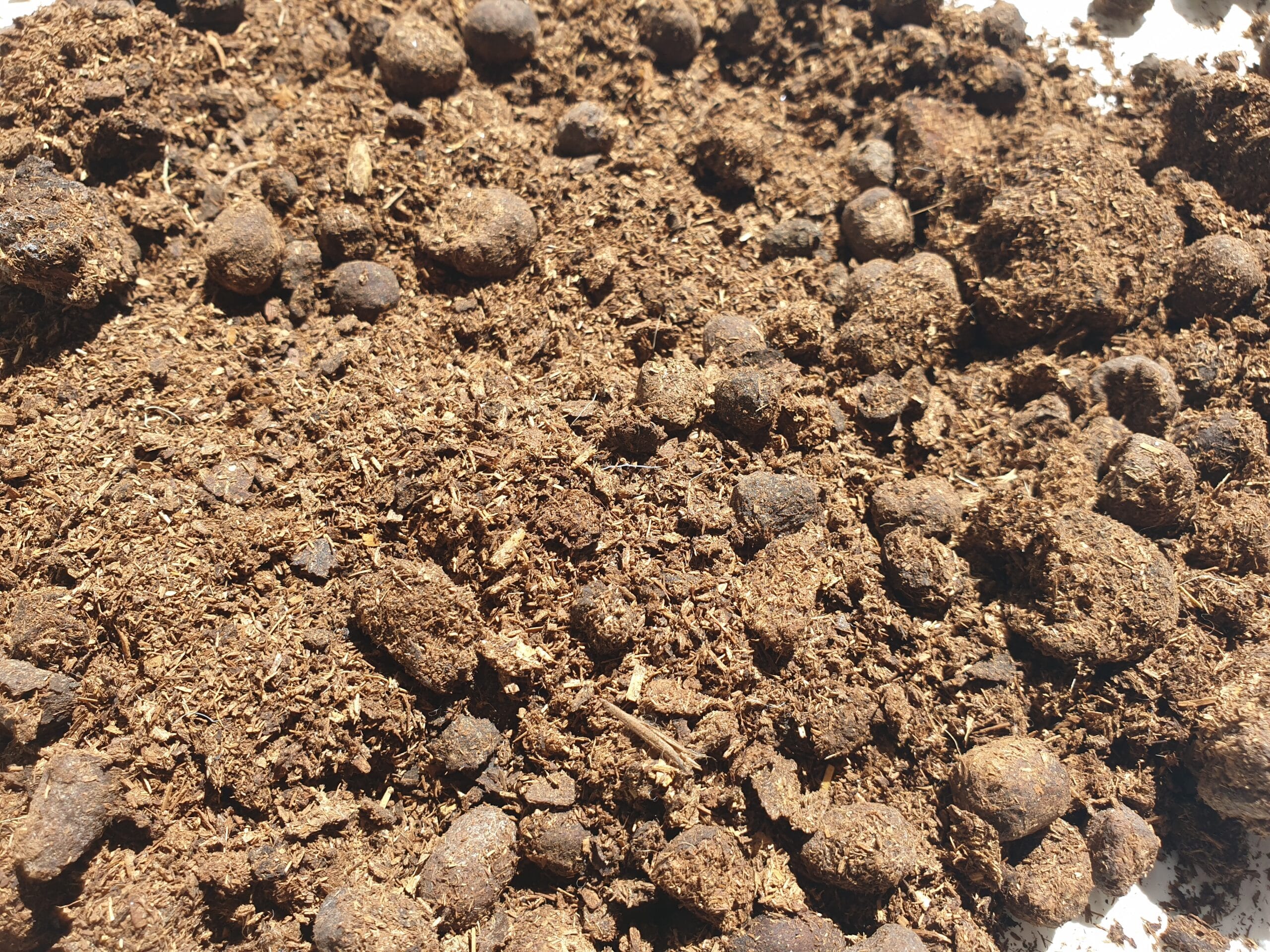 Sheep Manure Near Me