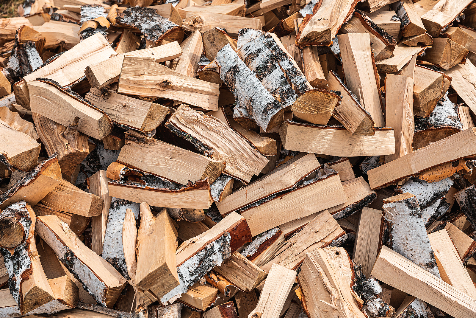 Preparation Of Firewood A pile of logs for firewood