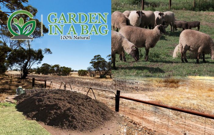 Sheep Manure in Armadale