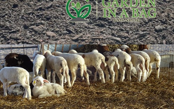 Sheep Manure in Como Perth