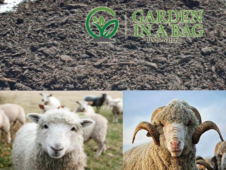 Sheep Manure in Como Perth