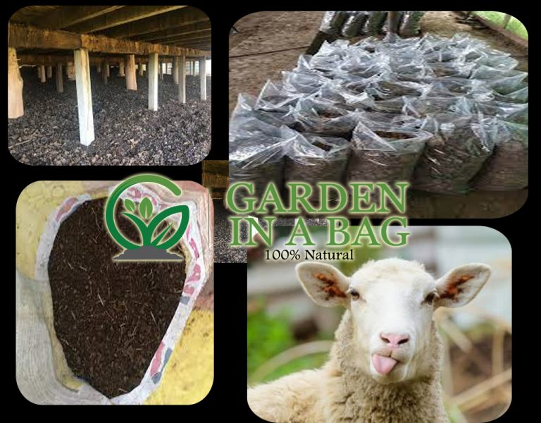 Sheep Manure In Gosnells