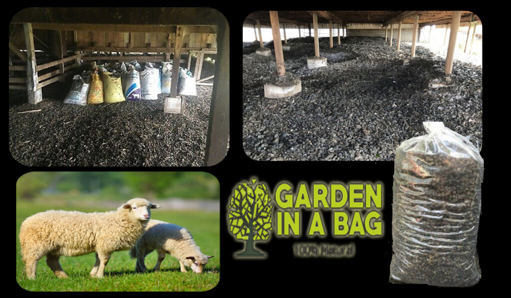 sheep-manure-in-wembley-Perth