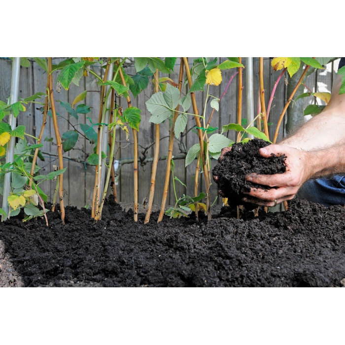 Sheep Manure – 60L – Garden in a Bag